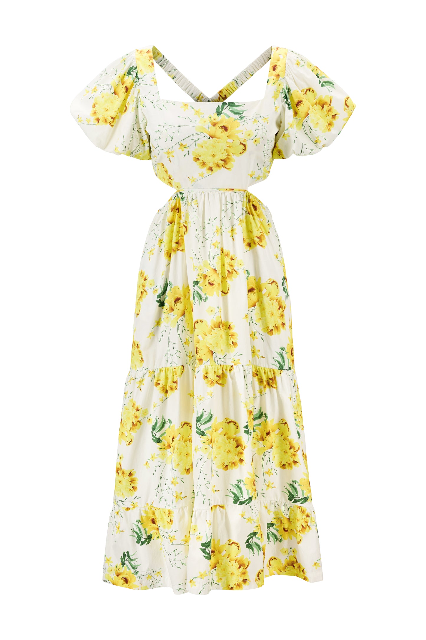Georgine long yellow flower