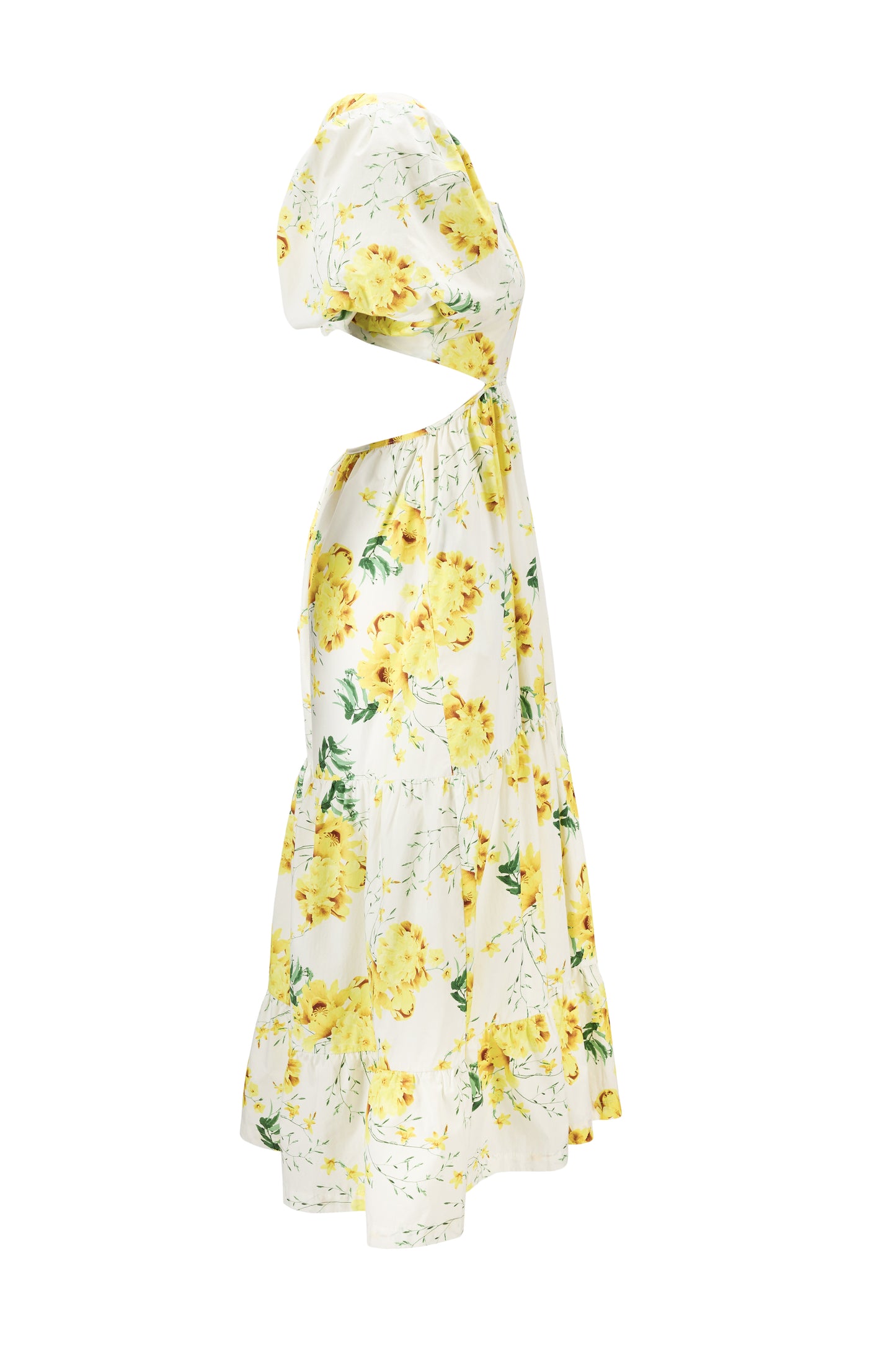 Georgine long yellow flower