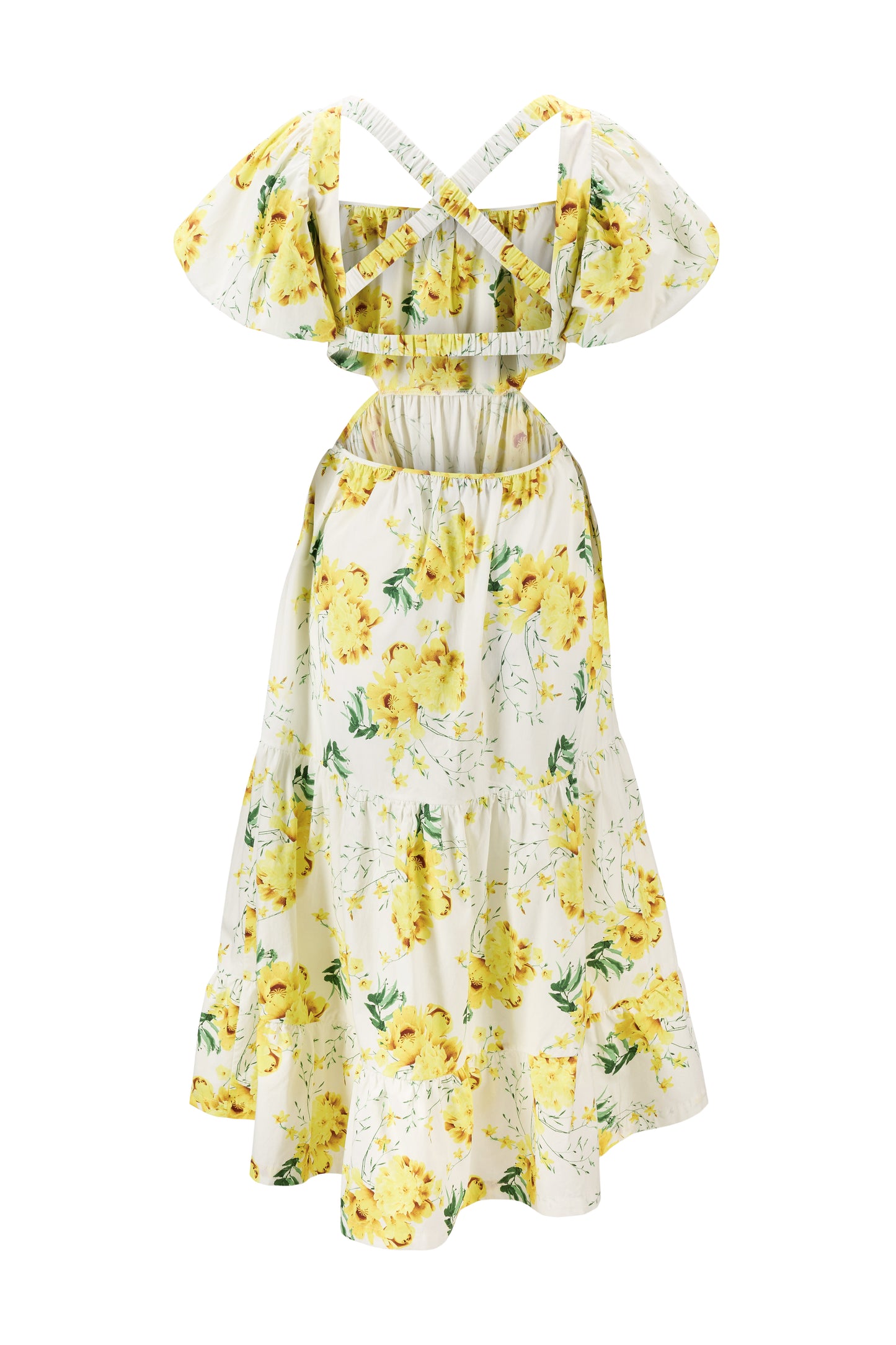 Georgine long yellow flower